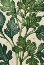 Artisanal Hand-Tufted Botanical Rug: A Plush Herb Garden Underfoot